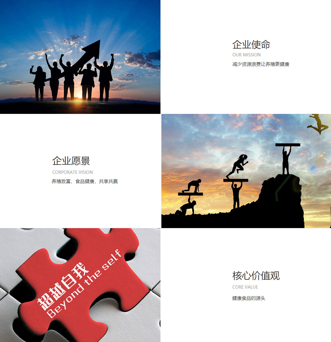 中欧体育官网入口(图1)